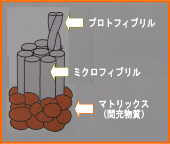 �~�N���t�B�u����