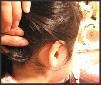 �A�^�}�W���~�̌�����