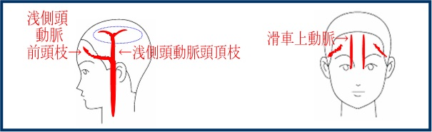 �󑤓������Ɗ��ԏ㓮��