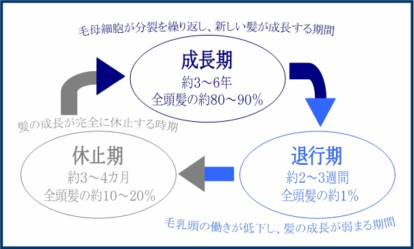 ���̖т̐�������