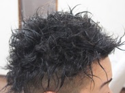 �c�C�X�g�p�[�}�A