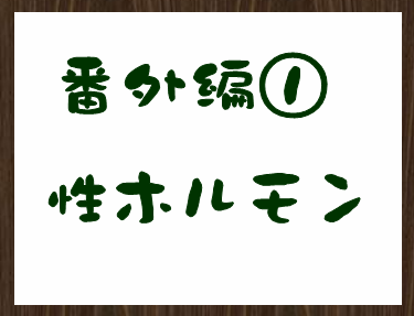 ���z�������̘b